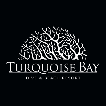 Turquoise Bay- Roatan