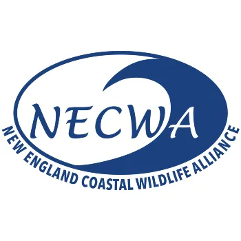 New England Coastal Wildlife Alliance(NECWA)