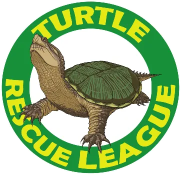 Turtle Rescue League