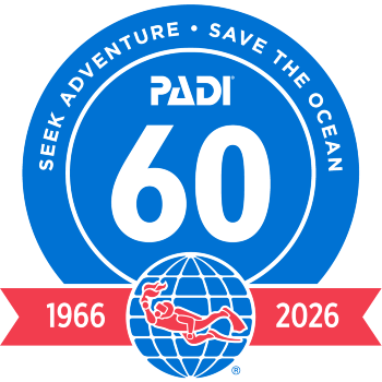 Josh Childress - PADI Northeast Regional Manager